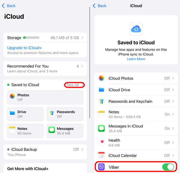 Viber auto backup setup
